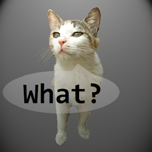 Talkicat Pro logo