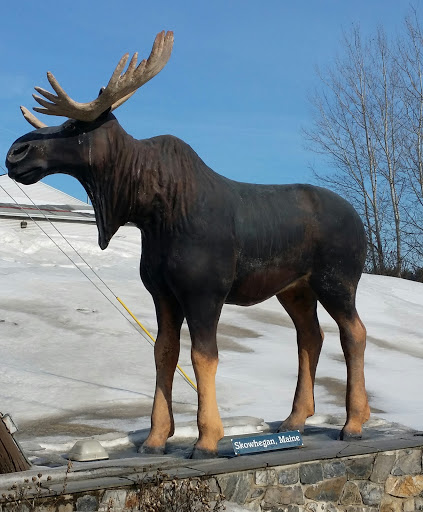 Skowhegan Moose