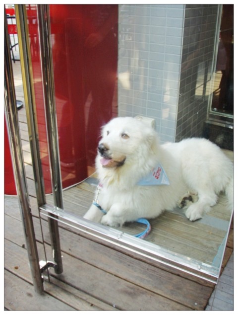 Cold Stone 冰淇淋