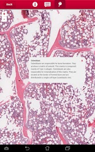 multeBook Histology Screenshots 7