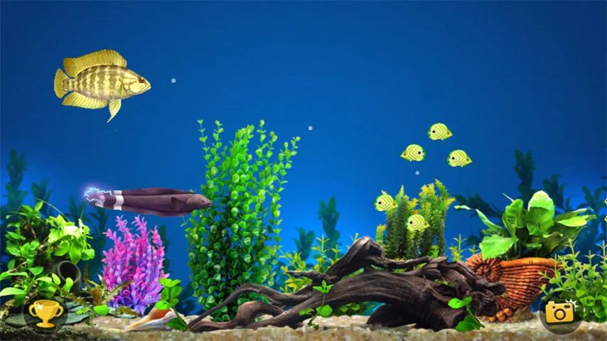 Fish Predator - screenshot