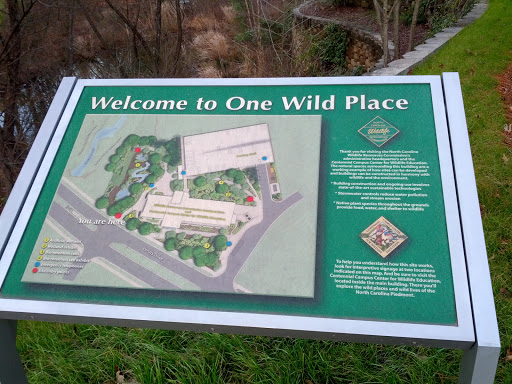 One Wild Place