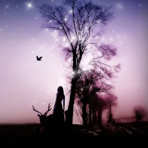 Romantic dream wallpapers-04 漫畫 App Store-愛順發玩APP
