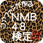 NMB48検定 1.0 Icon