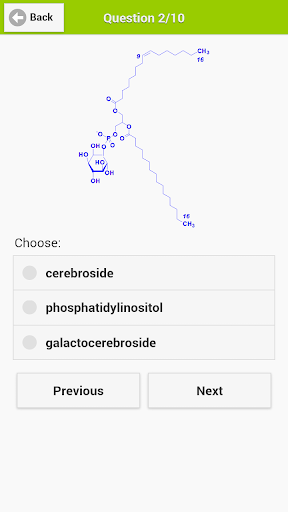 Biomolecule Quiz