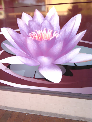 Wild Lotus Window Art