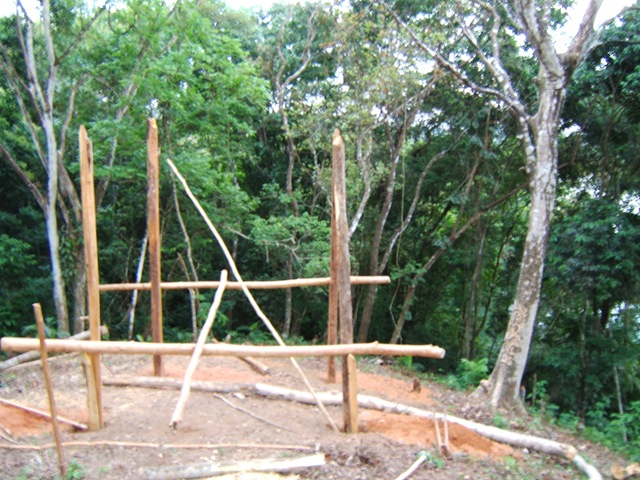 [DSCF19683.jpg]