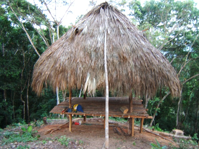 [DSCF21383.jpg]