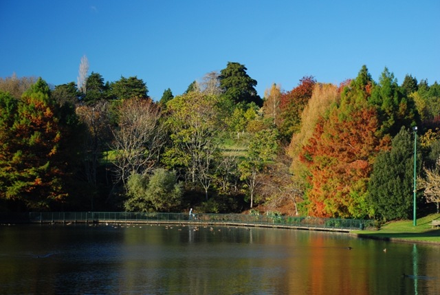 [DSC_7545_a[4].jpg]