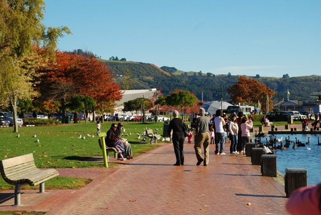 [DSC_6582_a[4].jpg]