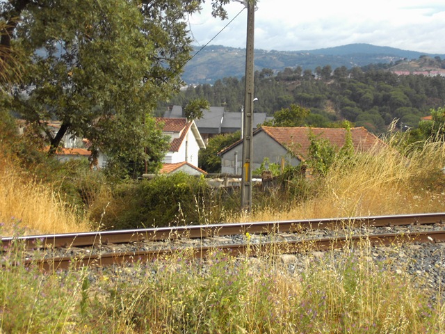 [ia Plata 955[3].jpg]