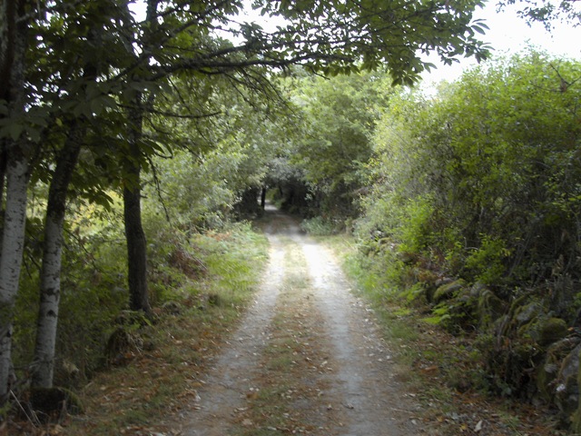 [ia Plata 1015[3].jpg]