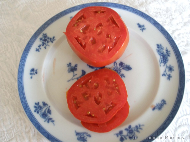 [Tomatoes cut 2[4].jpg]