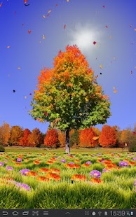 How to download Autumn Trees Live Wallpaper 1.22 mod apk for laptop
