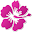 Hawaii Memory Game Download on Windows