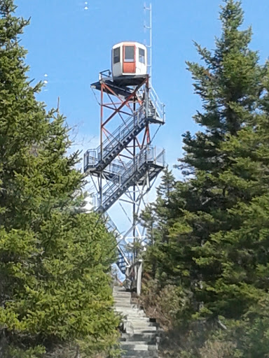 Ochre Hill Lookout Tower