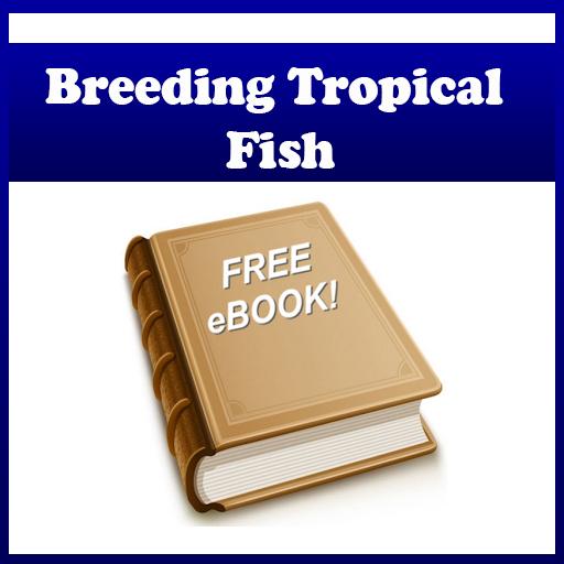 Breeding Tropical Fish