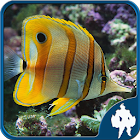 Fish Jigsaw Puzzles 1.6.1