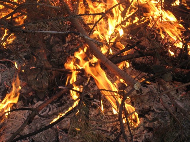 [IMG_03893.jpg]