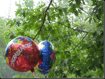 IMG_0810