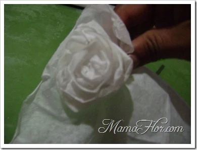 mamaflor-3667