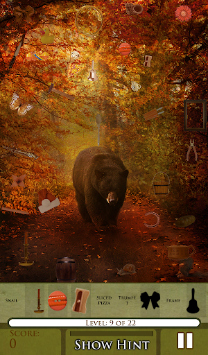 Hidden Object - Animal Seasons