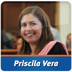 Dip. Priscila Vera Hernández 2.0.0