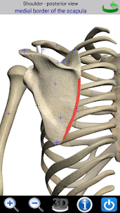 Visual Bones(圖3)-速報App