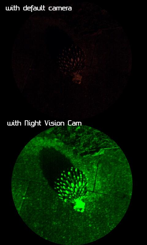 Night Vision Cam Pro - screenshot