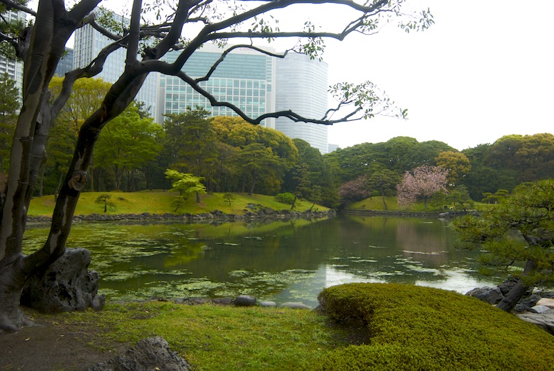 20080410_0081_hamarikyu2.jpg
