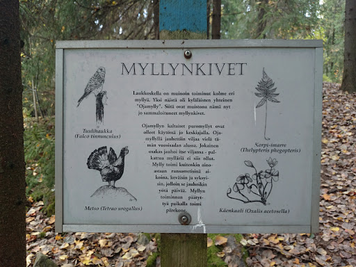 Myllynkivet