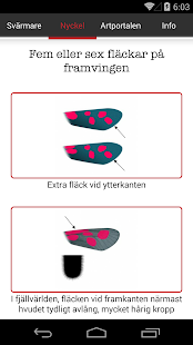 Download Bastardsvärmare APK for Android