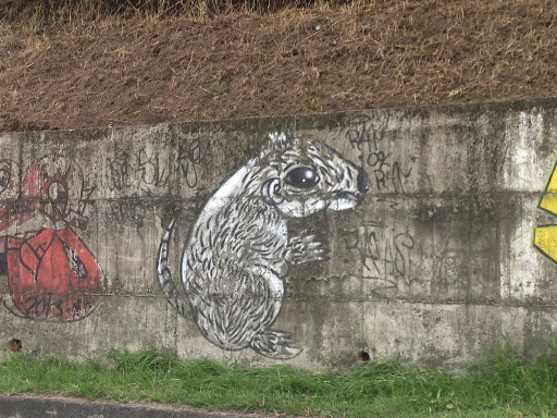 Mural Rata Gris
