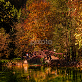 Vrelo Bosne by Jadran Korać - Landscapes Forests