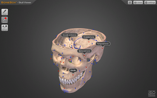 【免費醫療App】BoneBox™ - Skull Viewer-APP點子