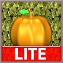 FruitQuestLite logo