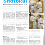Enlace a artículo sobre Shotokai