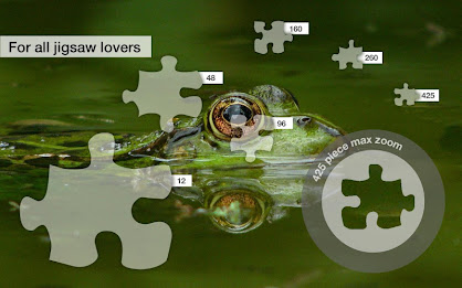 Frog Jigsaw Puzzles Demo poster 6