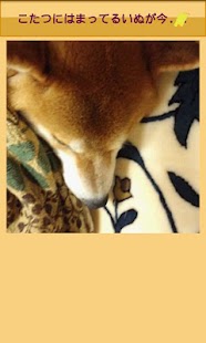 動物写真～いぬ～ Screenshots 0