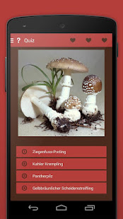 Pilze sammeln & bestimmen PRO(圖8)-速報App