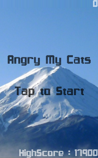 Angry My Cats