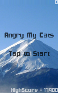 Angry-My-Cats