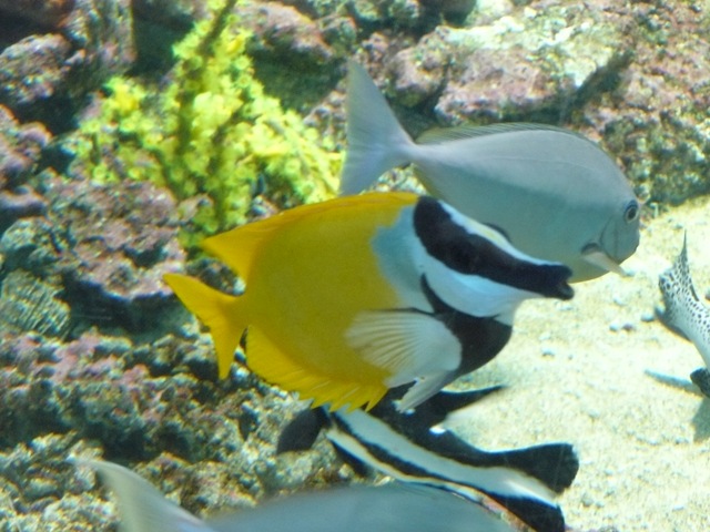[P10101754.jpg]