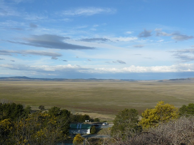 [canberra 030[4].jpg]