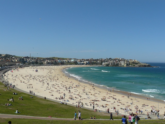 [bondi etc 001[4].jpg]