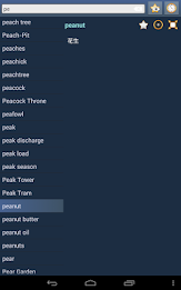 English Mandarin Dictionary poster 9