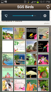 SGS Birds(圖2)-速報App