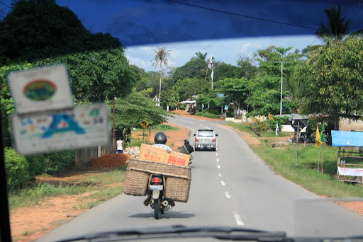 Mobillette à panier