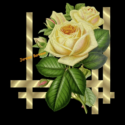 rosa01An.gif