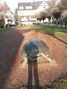 Schildkröte 